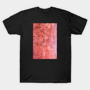 Dirty painted wall T-Shirt